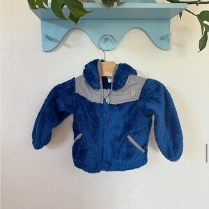 The North Face Royal Blue and Gray Fleece Jacket